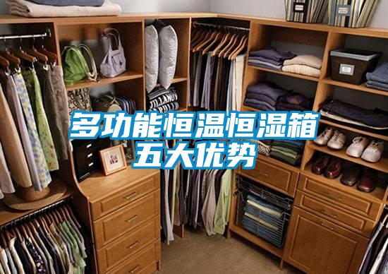 多功能恒溫恒濕箱五大優(yōu)勢