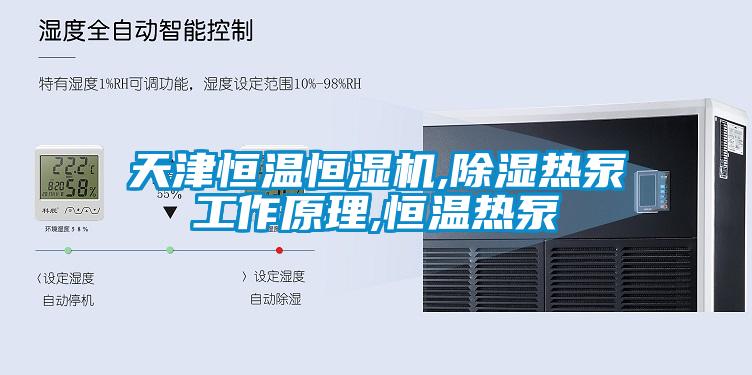 天津恒溫恒濕機(jī),除濕熱泵工作原理,恒溫?zé)岜?></div>
								<div   id=