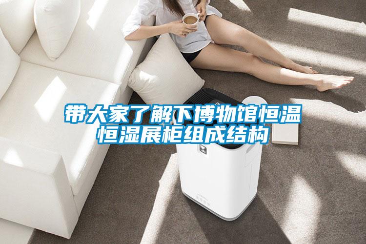 帶大家了解下博物館恒溫恒濕展柜組成結(jié)構(gòu)