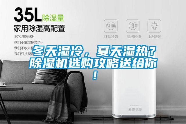 冬天濕冷，夏天濕熱？除濕機選購攻略送給你！