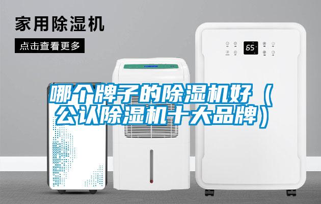哪個牌子的除濕機好（公認(rèn)除濕機十大品牌）