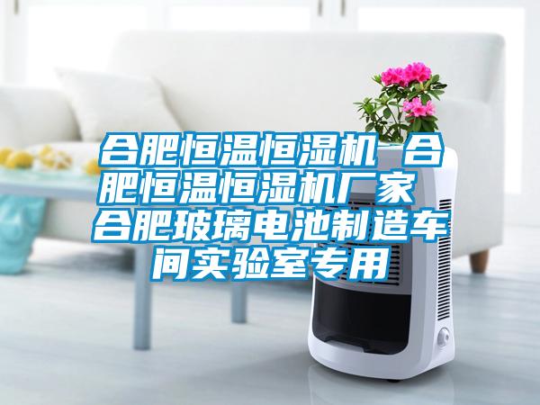合肥恒溫恒濕機(jī) 合肥恒溫恒濕機(jī)廠家 合肥玻璃電池制造車間實(shí)驗(yàn)室專用