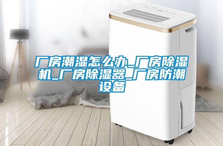 廠(chǎng)房潮濕怎么辦_廠(chǎng)房除濕機(jī)_廠(chǎng)房除濕器_廠(chǎng)房防潮設(shè)備