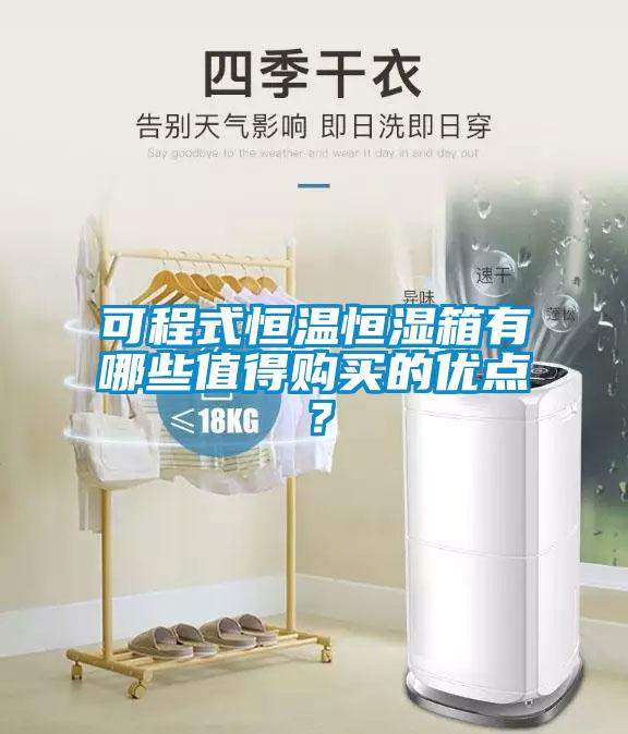 可程式恒溫恒濕箱有哪些值得購買的優(yōu)點(diǎn)？