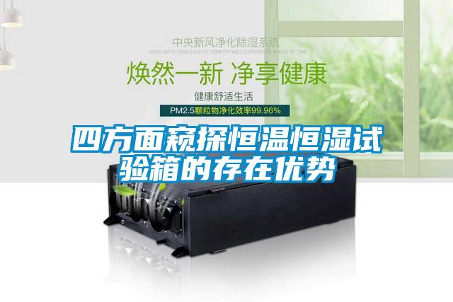 四方面窺探恒溫恒濕試驗箱的存在優(yōu)勢