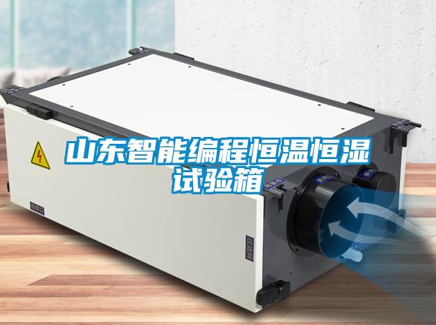 山東智能編程恒溫恒濕試驗(yàn)箱