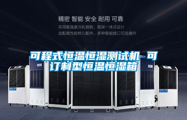 可程式恒溫恒濕測試機 可訂制型恒溫恒濕箱