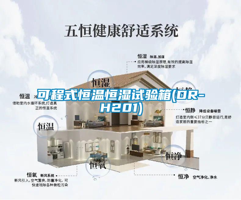 可程式恒溫恒濕試驗(yàn)箱(DR-H201)