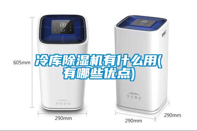 冷庫除濕機有什么用(有哪些優(yōu)點)