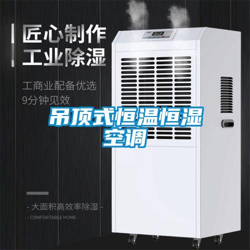 吊頂式恒溫恒濕空調(diào)