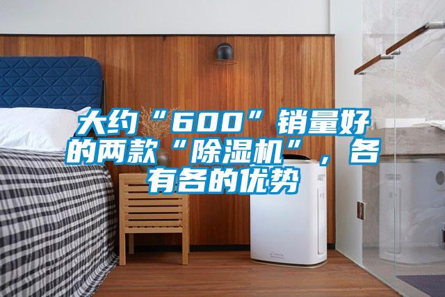 大約“600”銷量好的兩款“除濕機(jī)”，各有各的優(yōu)勢