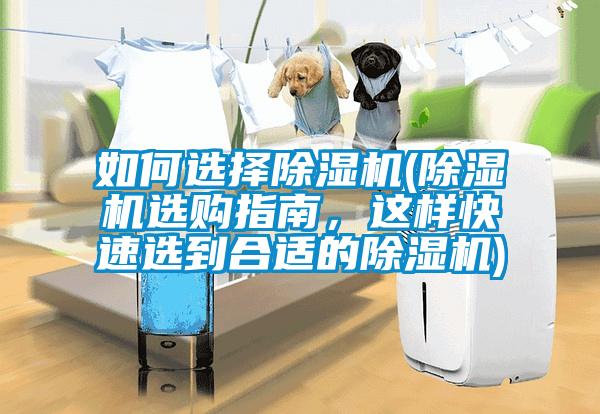 如何選擇除濕機(jī)(除濕機(jī)選購(gòu)指南，這樣快速選到合適的除濕機(jī))