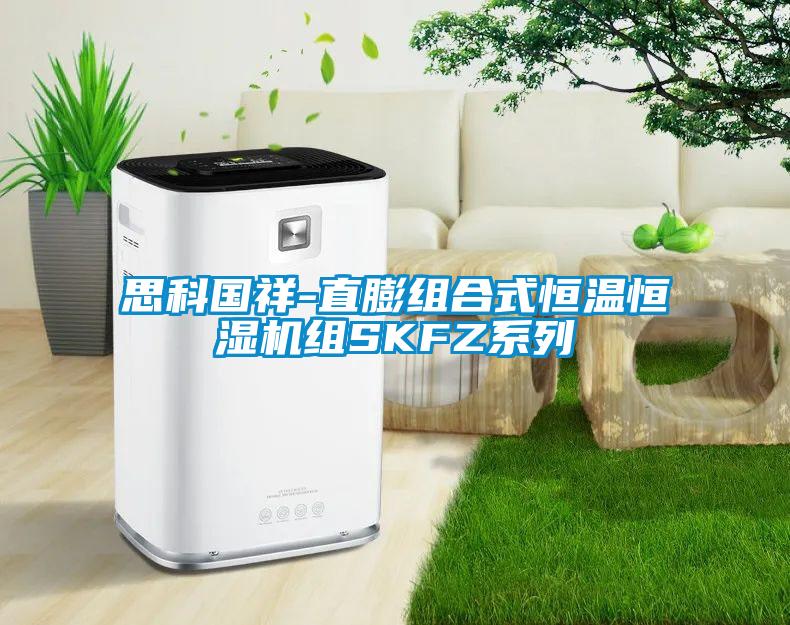 思科國祥-直膨組合式恒溫恒濕機(jī)組SKFZ系列