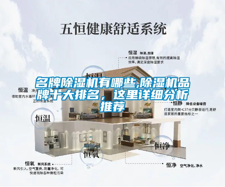 名牌除濕機(jī)有哪些,除濕機(jī)品牌十大排名，這里詳細(xì)分析推薦
