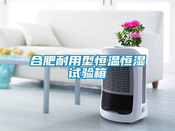 合肥耐用型恒溫恒濕試驗(yàn)箱