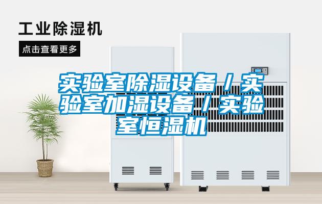 實(shí)驗(yàn)室除濕設(shè)備／實(shí)驗(yàn)室加濕設(shè)備／實(shí)驗(yàn)室恒濕機(jī)