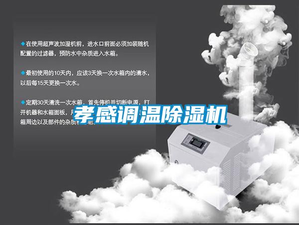 孝感調溫除濕機