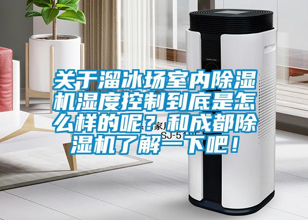 關于溜冰場室內除濕機濕度控制到底是怎么樣的呢？和成都除濕機了解一下吧！