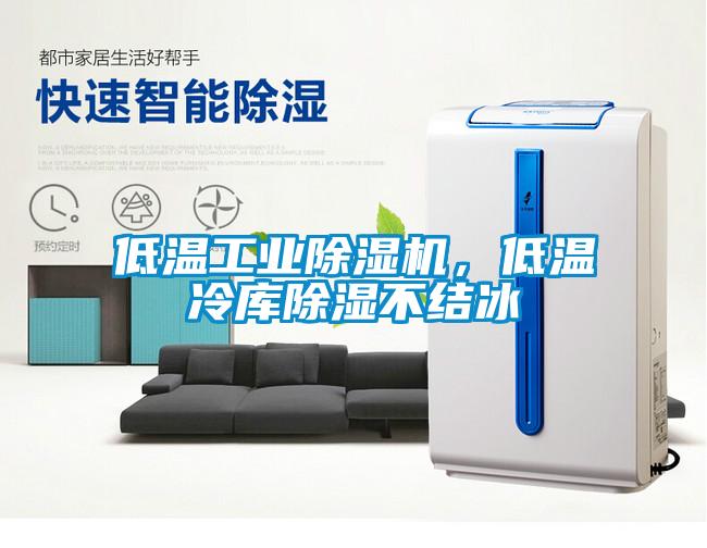 低溫工業(yè)除濕機(jī)，低溫冷庫除濕不結(jié)冰