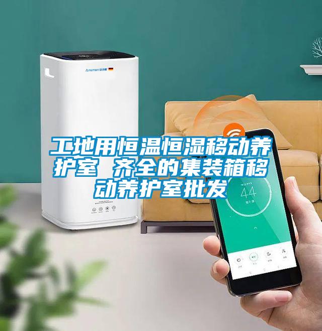 工地用恒溫恒濕移動(dòng)養(yǎng)護(hù)室 齊全的集裝箱移動(dòng)養(yǎng)護(hù)室批發(fā)