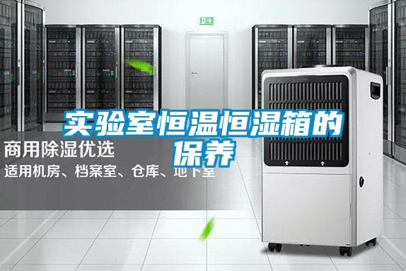 實驗室恒溫恒濕箱的保養(yǎng)