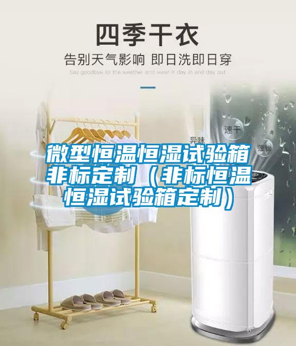 微型恒溫恒濕試驗(yàn)箱非標(biāo)定制（非標(biāo)恒溫恒濕試驗(yàn)箱定制）