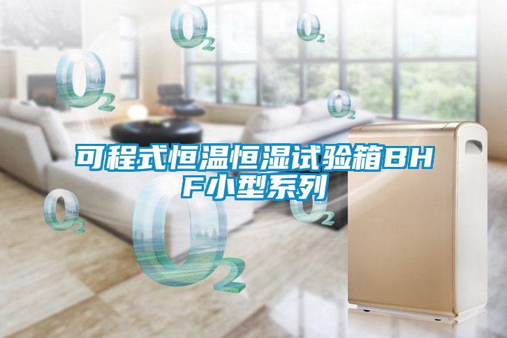 可程式恒溫恒濕試驗(yàn)箱BHF小型系列