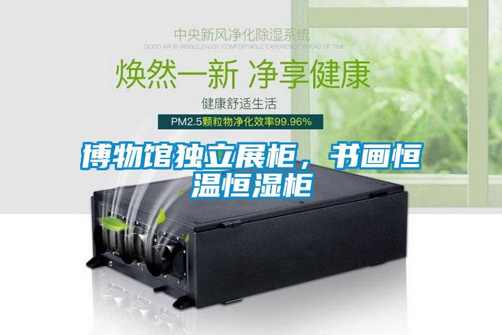 博物館獨(dú)立展柜，書畫恒溫恒濕柜