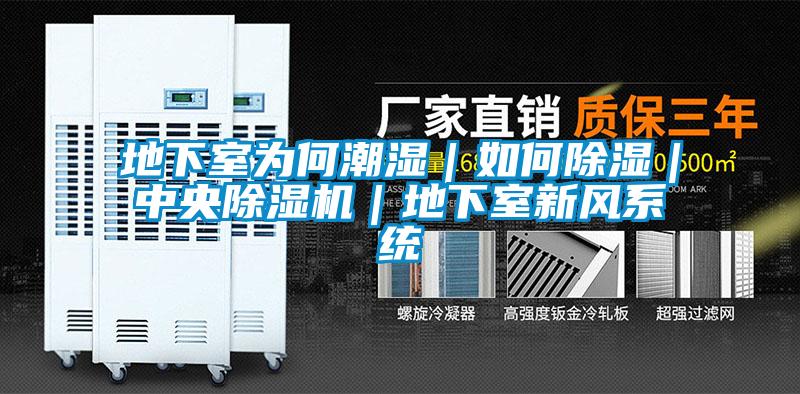 地下室為何潮濕｜如何除濕｜中央除濕機(jī)｜地下室新風(fēng)系統(tǒng)
