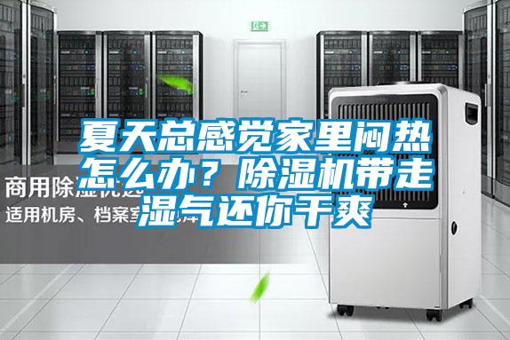 夏天總感覺家里悶熱怎么辦？除濕機(jī)帶走濕氣還你干爽