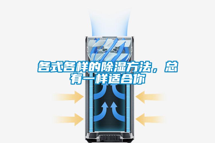 各式各樣的除濕方法，總有一樣適合你