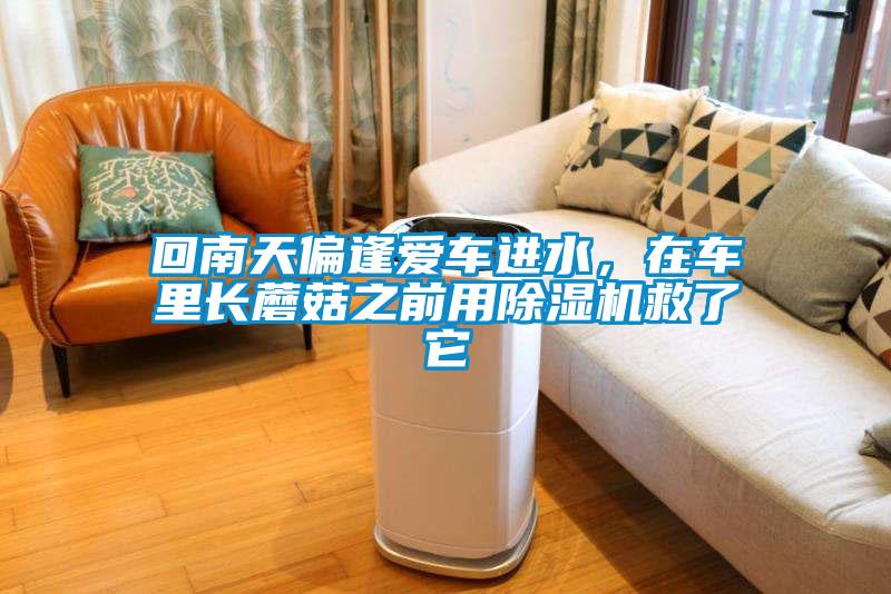 回南天偏逢愛車進(jìn)水，在車?yán)镩L(zhǎng)蘑菇之前用除濕機(jī)救了它
