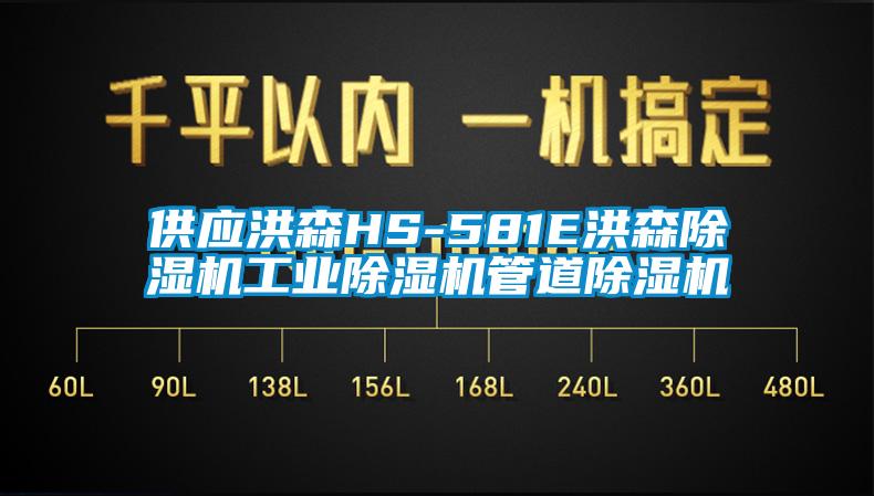 供應洪森HS-581E洪森除濕機工業(yè)除濕機管道除濕機