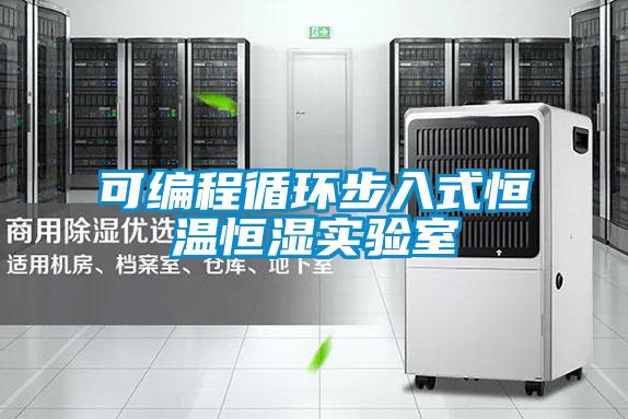 可編程循環(huán)步入式恒溫恒濕實驗室