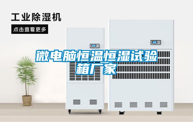 微電腦恒溫恒濕試驗(yàn)箱廠家