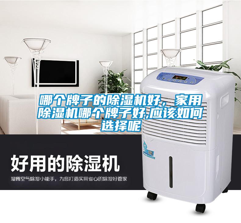 哪個牌子的除濕機好，家用除濕機哪個牌子好,應(yīng)該如何選擇呢