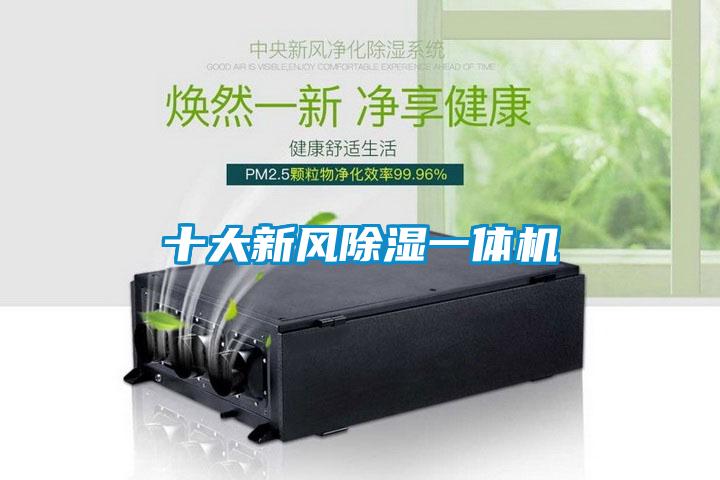 十大新風(fēng)除濕一體機