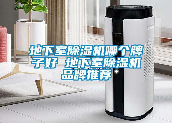 地下室除濕機(jī)哪個牌子好 地下室除濕機(jī)品牌推薦