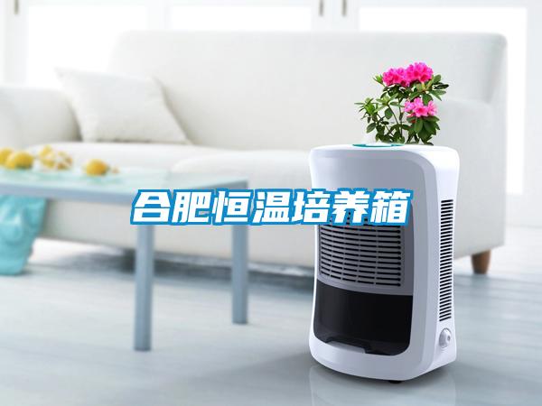 合肥恒溫培養(yǎng)箱