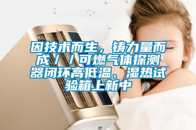 因技術(shù)而生，鑄力量而成／／可燃?xì)怏w探測器閉環(huán)高低溫、濕熱試驗箱上新中