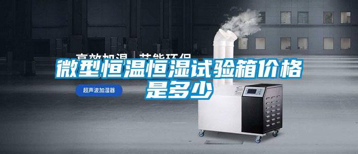 微型恒溫恒濕試驗(yàn)箱價(jià)格是多少
