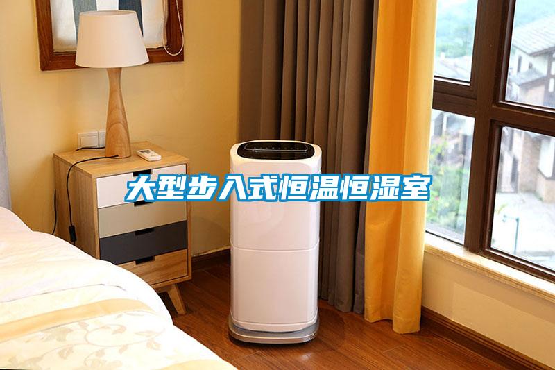 大型步入式恒溫恒濕室