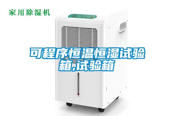可程序恒溫恒濕試驗(yàn)箱,試驗(yàn)箱