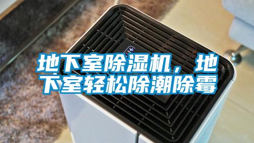 地下室除濕機(jī)，地下室輕松除潮除霉