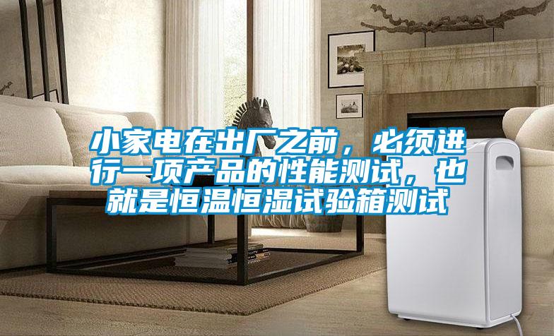 小家電在出廠之前，必須進行一項產品的性能測試，也就是恒溫恒濕試驗箱測試