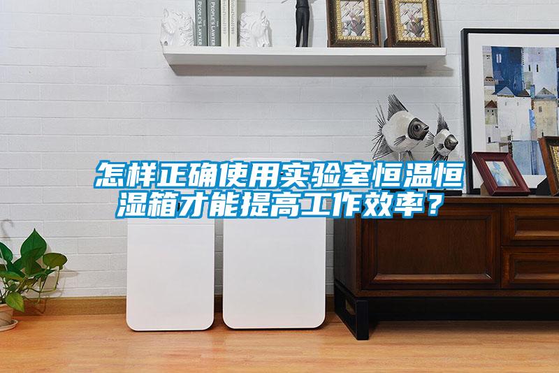 怎樣正確使用實(shí)驗(yàn)室恒溫恒濕箱才能提高工作效率？