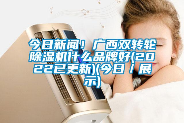 今日新聞！廣西雙轉(zhuǎn)輪除濕機(jī)什么品牌好(2022已更新)(今日／展示)