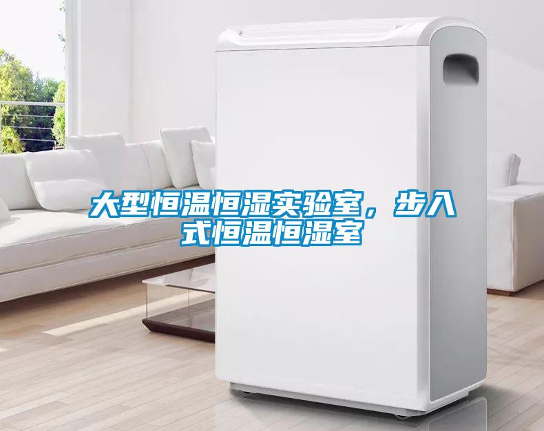 大型恒溫恒濕實驗室，步入式恒溫恒濕室