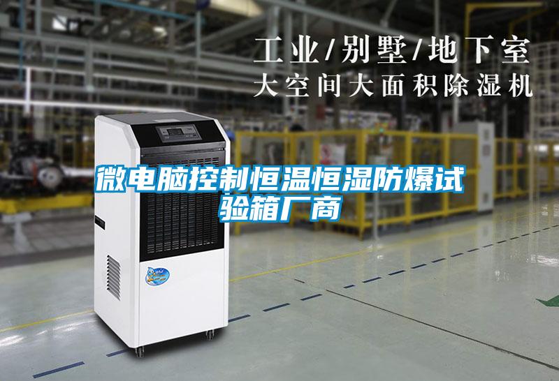 微電腦控制恒溫恒濕防爆試驗(yàn)箱廠商