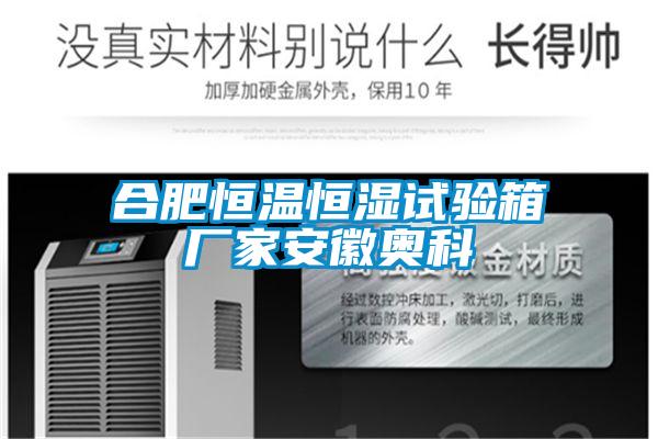 合肥恒溫恒濕試驗(yàn)箱廠家安徽奧科